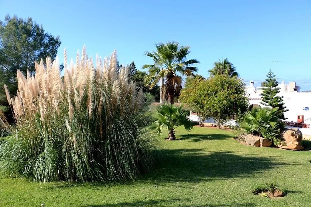 Villa Bellissima San Antonio  Španělsko